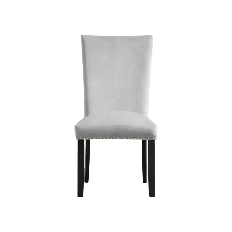 Set of 2 Celine Velvet Side Chair Set - Picket House Furnishings
