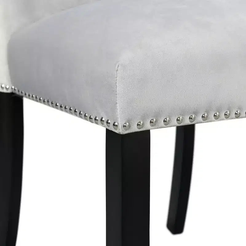 Set of 2 Celine Velvet Side Chair Set - Picket House Furnishings