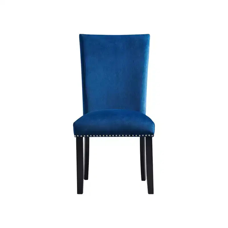 Set of 2 Celine Velvet Side Chair Set - Picket House Furnishings