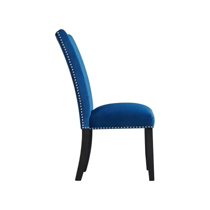 Set of 2 Celine Velvet Side Chair Set - Picket House Furnishings